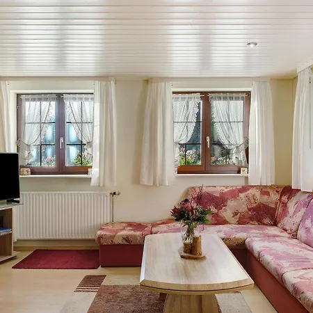 Haus Steinhaeusle - 2 Fewos Daire Vöhrenbach